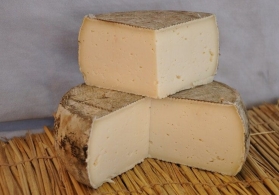 Cheeses of the world - Tome de Brach